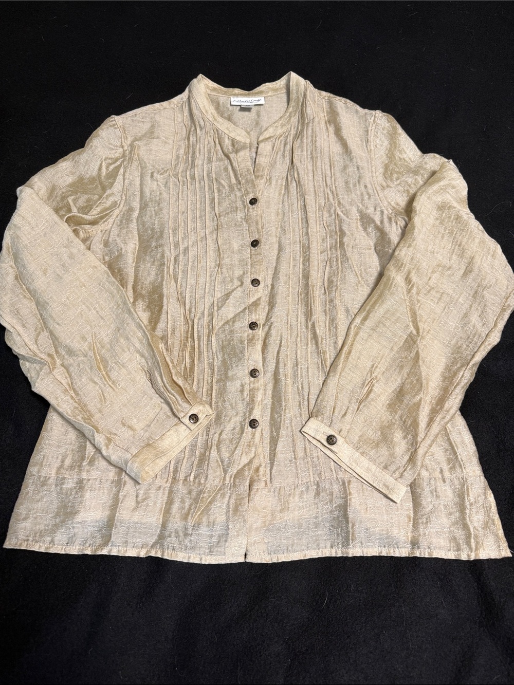 Coldwater Creek Champagne Pintuck Button-Down Shirt